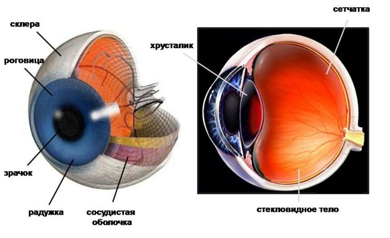 Разрез глаз картинки